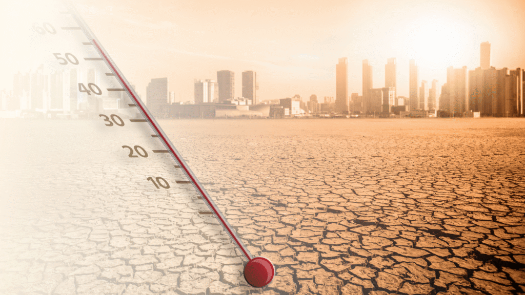Temperature Mapping