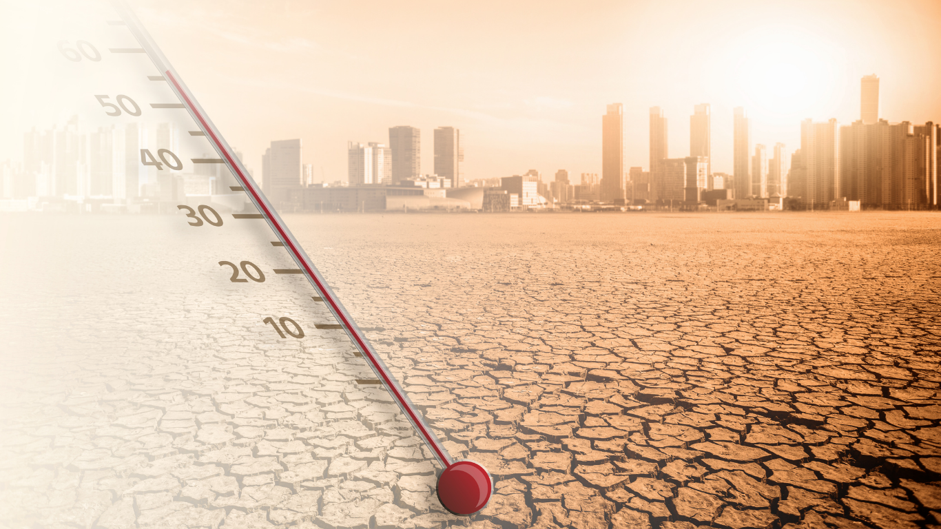 كيف تُحدث Temperature Mapping ثورة في صناعة سلسلة التبريد اللوجستية
