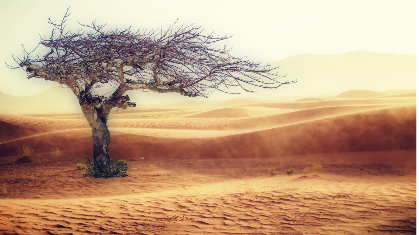 دور Temperature Mapping في الحد من ظاهرة الجزر الحرارية الحضرية